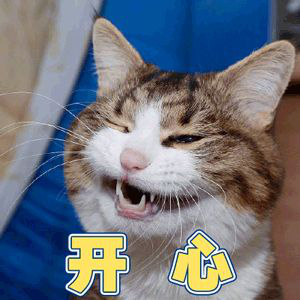 南京人的“裝修恐懼癥”，終于有救了