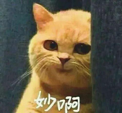 春節(jié)發(fā)紅包 | 體驗紅牛裝飾“數字家裝”