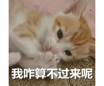 別等618了，本周末就能鎖定裝修優(yōu)惠！