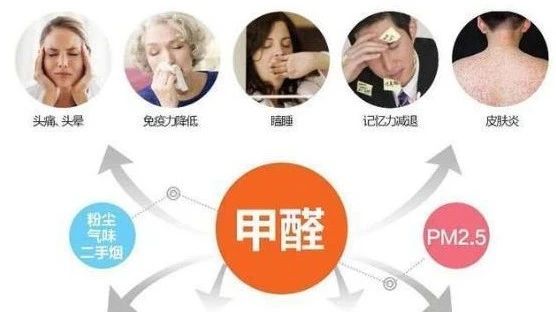 春季家裝節(jié)，綠色煥新月，優(yōu)惠享不停！