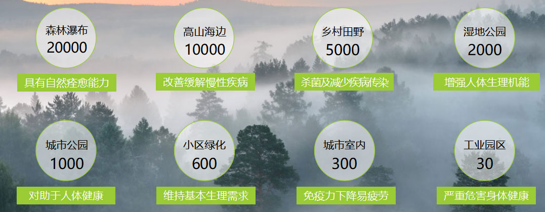 618家裝風(fēng)暴｜健康養(yǎng)生墻面全城首發(fā)！