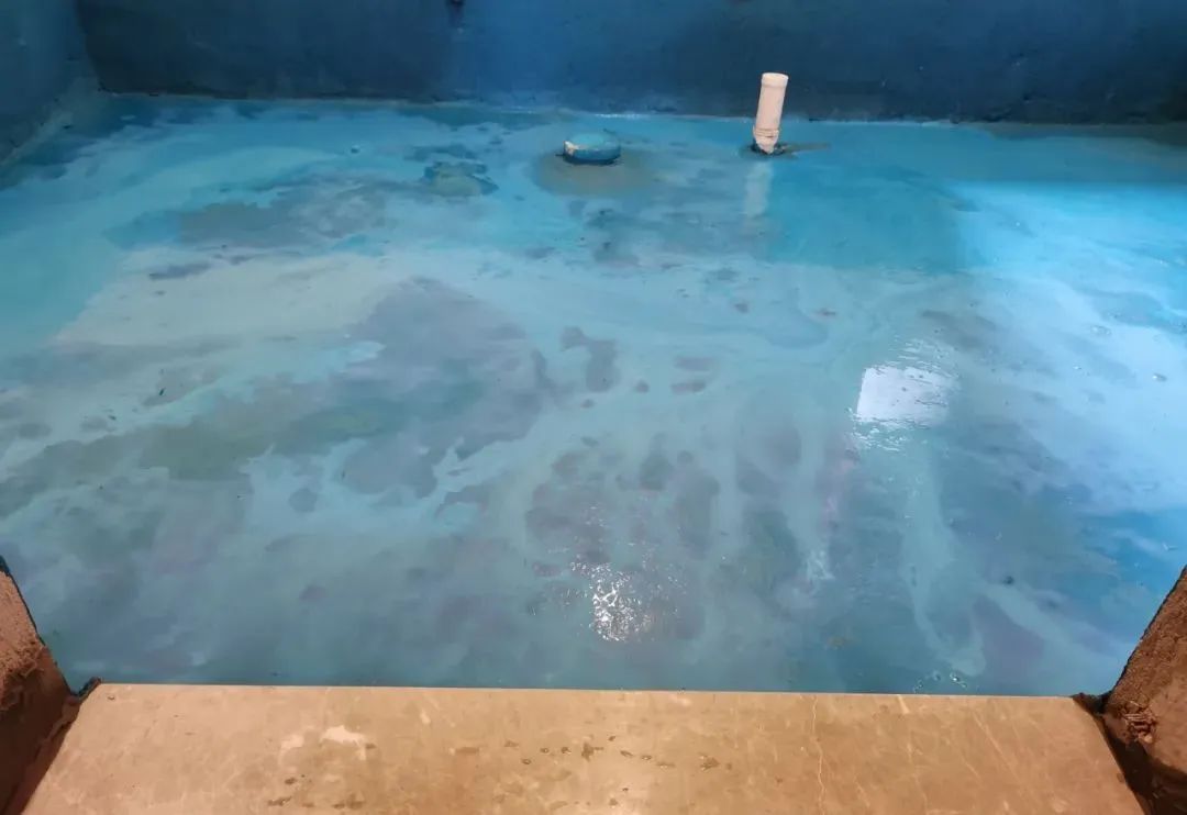 工地突擊巡檢｜沒想到，這家工地竟治愈了我的“強(qiáng)迫癥”