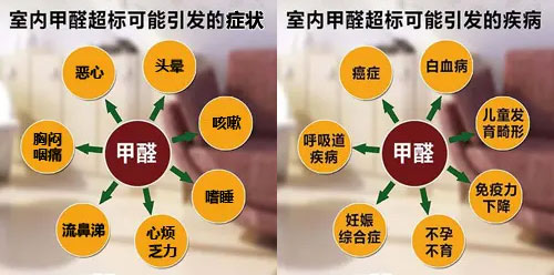 擔(dān)心家里甲醛超標(biāo)，教您一招，安安心心住新家！