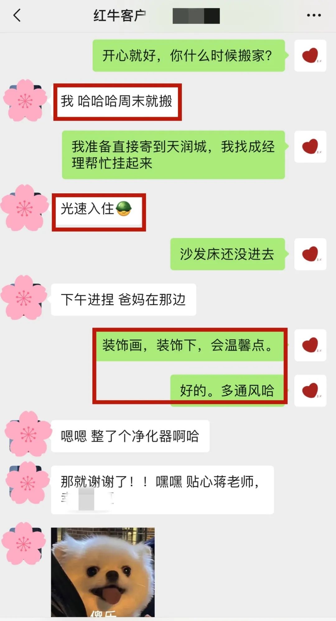 喜報｜金秋十月，收獲滿滿，紅牛裝飾再獲三面錦旗！